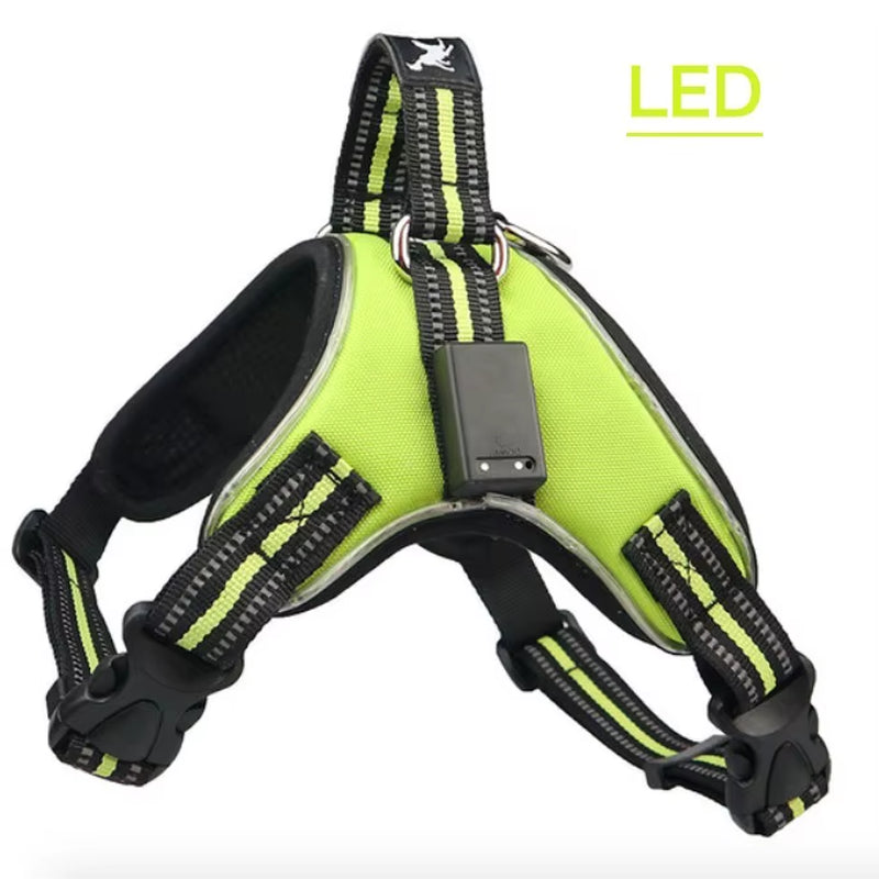 Rechargeable LED Harness for Pets Dog Tailup Nylon Led Flashing Light Dog Harness Collar Pet Safety Leash Belt Dog Accessories