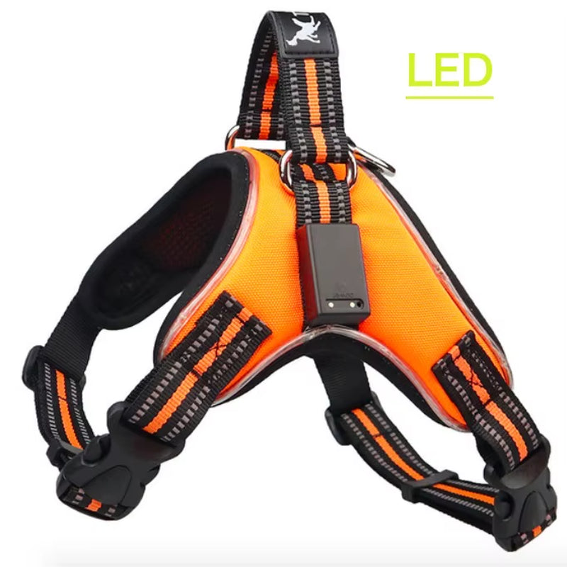 Rechargeable LED Harness for Pets Dog Tailup Nylon Led Flashing Light Dog Harness Collar Pet Safety Leash Belt Dog Accessories