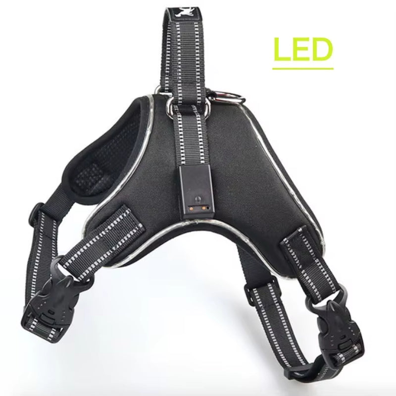 Rechargeable LED Harness for Pets Dog Tailup Nylon Led Flashing Light Dog Harness Collar Pet Safety Leash Belt Dog Accessories